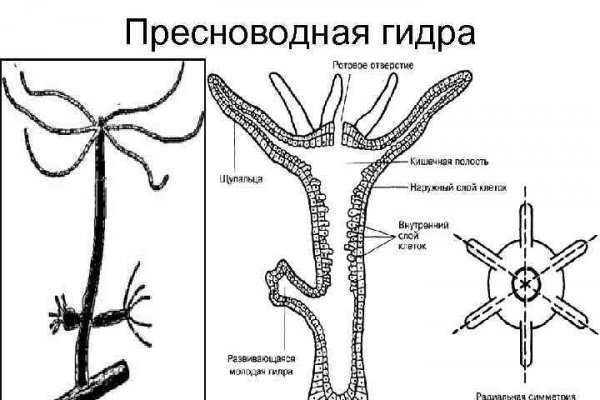 Найти ссылку кракен