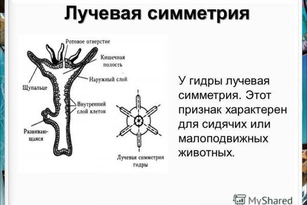 Кракен сайт 2krnk